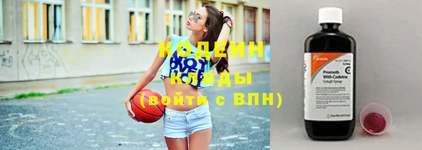 стаф Бородино