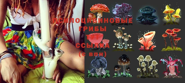 метадон Беломорск
