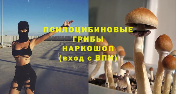 стаф Бородино